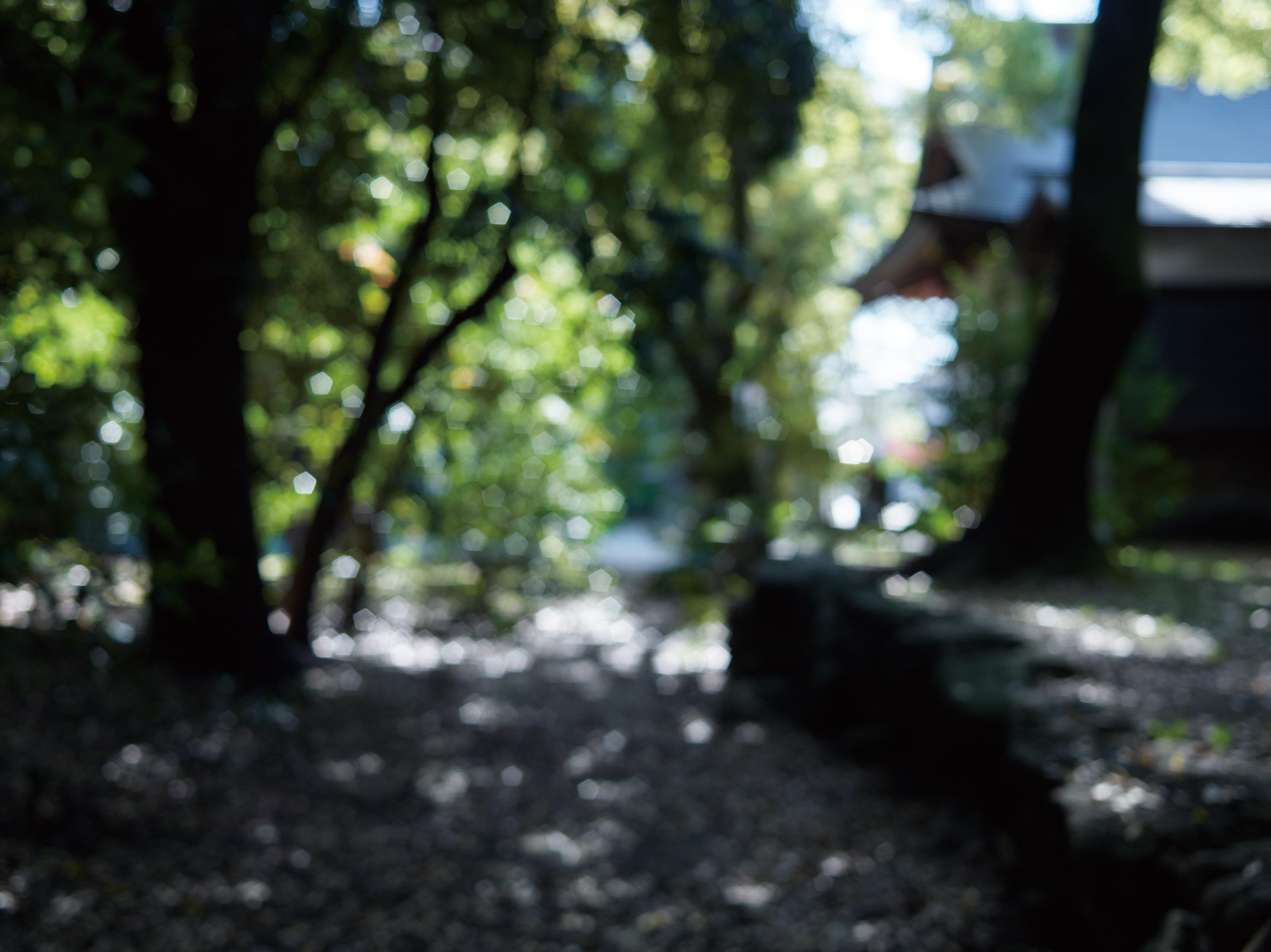 大原 良彦氏, 築地神社 宮司：プラチナ・パラジウムプリント / 102mm× 136mm / 2015